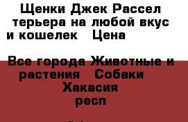 Щенки Джек Рассел терьера на любой вкус и кошелек › Цена ­ 13 000 - Все города Животные и растения » Собаки   . Хакасия респ.,Абакан г.